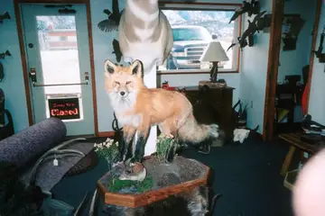 Taxidermy work from the Bragging Room, photo 163