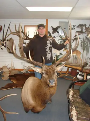 Taxidermy work from the Bragging Room, photo 93