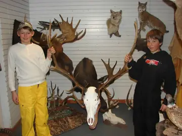 Bear Mount — Bragging Room photo 43