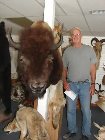 Buffalo, Bear — Bragging Room photo 3