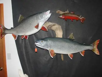 Taxidermy work from the Bragging Room, photo 224