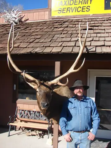 Taxidermy work from the Bragging Room, photo 139