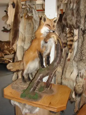 Taxidermy work from the Bragging Room, photo 121