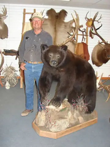 Taxidermy work from the Bragging Room, photo 124