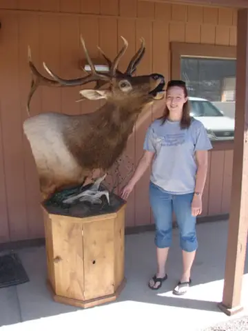 Taxidermy work from the Bragging Room, photo 125