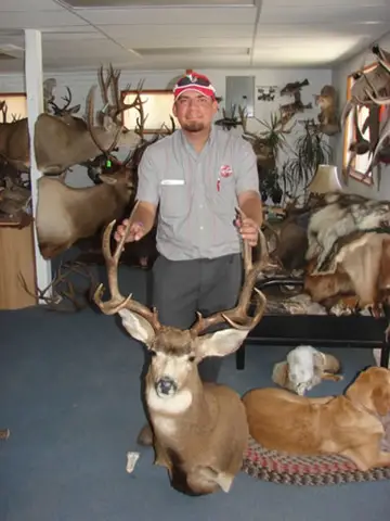Taxidermy work from the Bragging Room, photo 113