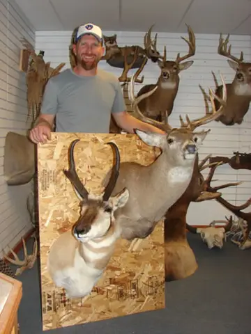 Taxidermy work from the Bragging Room, photo 105