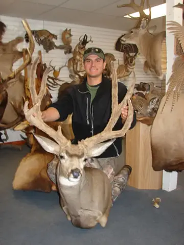 Elk Cape — Bragging Room photo 94