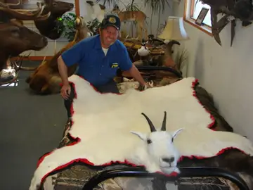 Elk Capes — Bragging Room photo 31