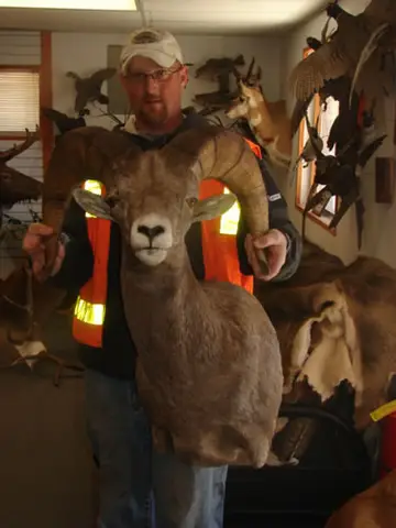 Taxidermy work from the Bragging Room, photo 59