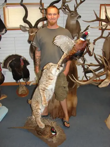 Moose And Foxes — Bragging Room photo 33