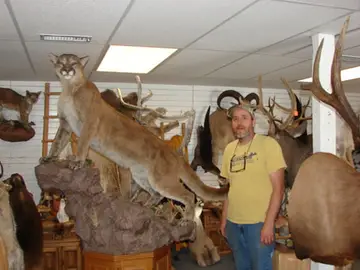 Todds Lion — Bragging Room photo 4