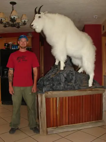 Antelope Cape — Bragging Room photo 6