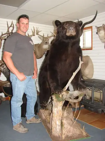 Bear Skull — Bragging Room photo 8