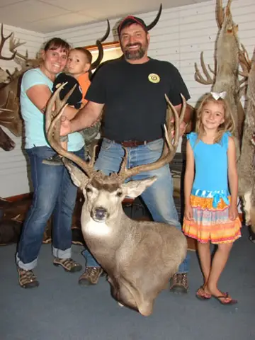 Dall Sheep — Bragging Room photo 17