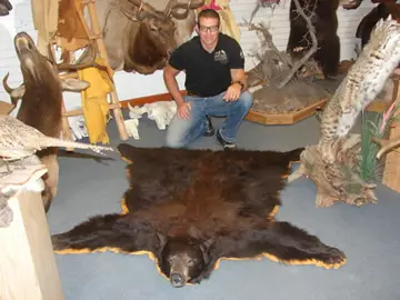 Randy-josh Bear — Bragging Room photo 53