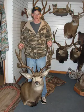Salted Mule Deer Capes — Bragging Room photo 90