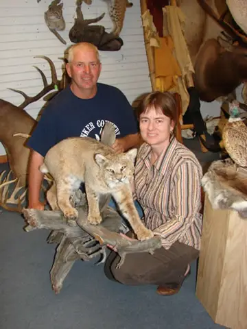Wyatt Bobcat