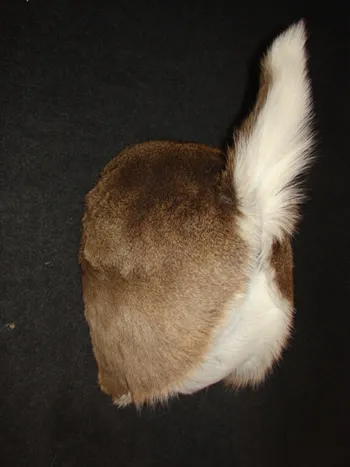 Whitetail butt