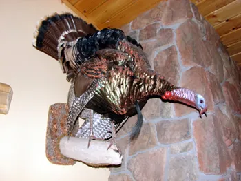 Lifesize Turkey